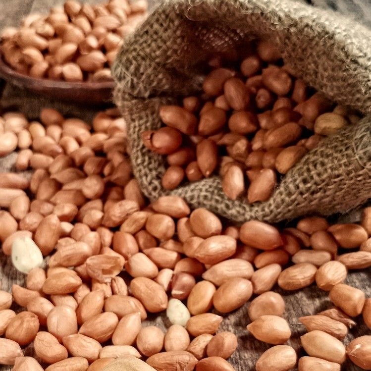 Indonesian Peanut